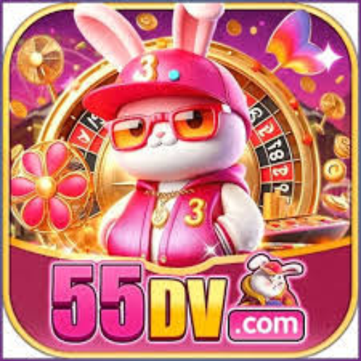 55dv.com
